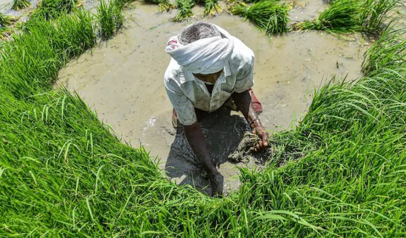 ರಾಜಕೀಯ ನೇತಾರರ ವಿರುದ್ದ ಅಸಮಾಧಾನ: 1,000 ರೈತರಿಂದ ನಾಮಪತ್ರ ಸಲ್ಲಿಕೆಗೆ ತಯಾರಿ