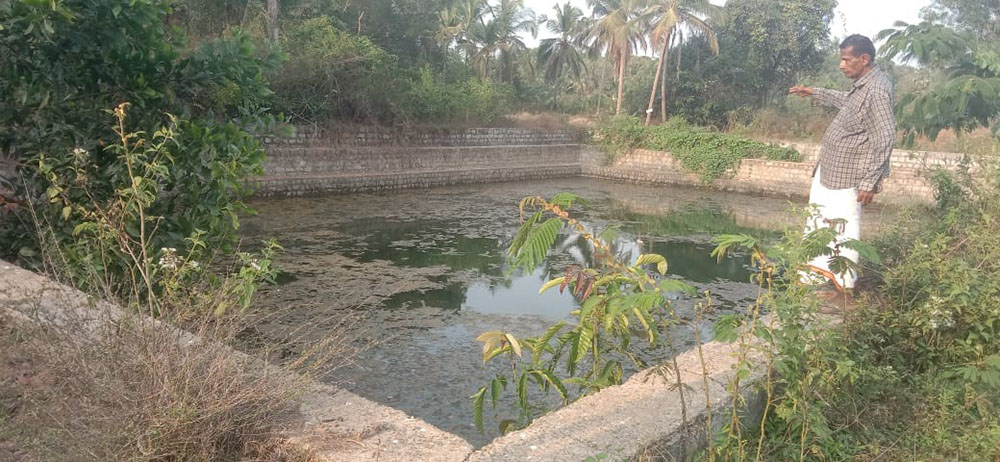 ಗ್ರಾಪಂ ನಿರ್ಲಕ್ಷ್ಯಕ್ಕೆ ಪಾಚಿ ಹಿಡಿದ ಮದ್ಮಲ್ ಕೆರೆ: ಸ್ಥಳೀಯರ ಆರೋಪ