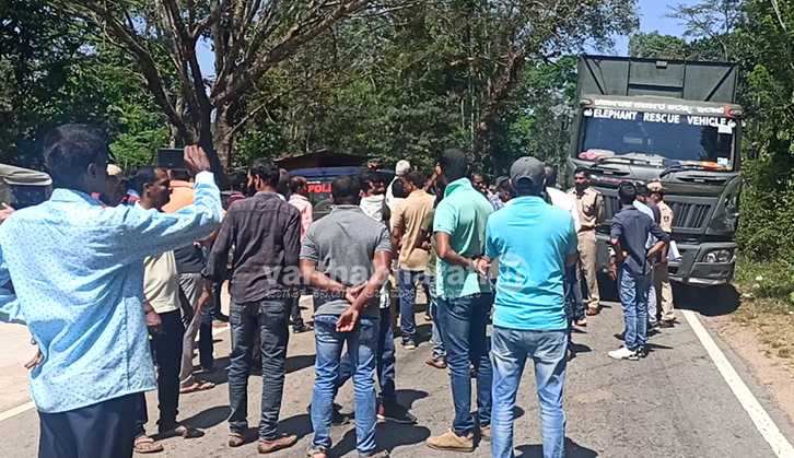 ಕೊಡಗಿನಲ್ಲಿ ಮುಂದುವರಿದ ಹುಲಿ ದಾಳಿ, ಹೆಚ್ಚಿದ ಆತಂಕ: ಸೆರೆ ಸಿಗದಿದ್ದರೆ ಗುಂಡಿಕ್ಕಲು ಆದೇಶ