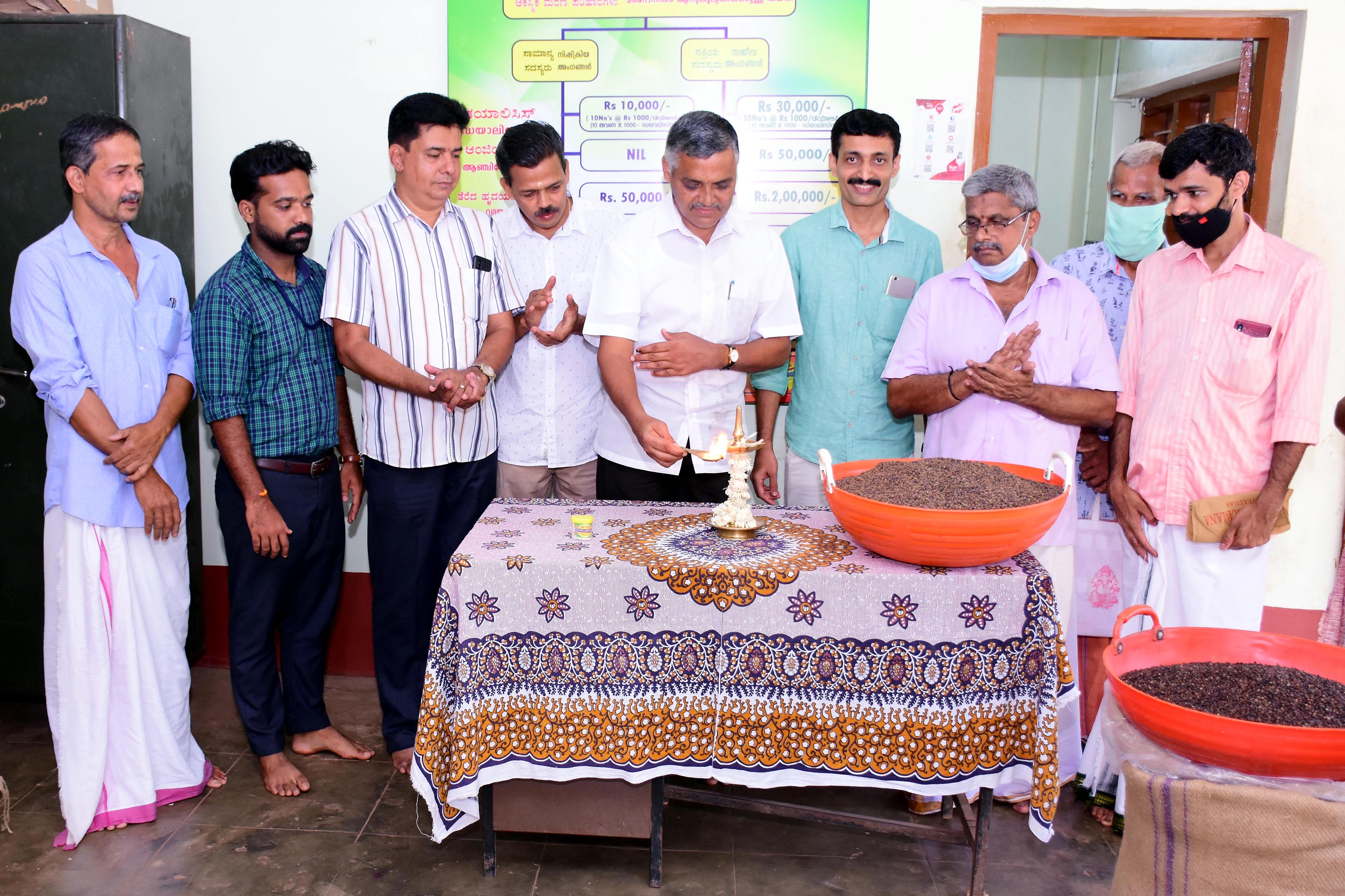 ಕ್ಯಾಂಪ್ಕೊ ಮುಳ್ಳೇರಿಯ ಶಾಖೆಯಲ್ಲಿ ಕರಿಮೆಣಸು ಖರೀದಿಗೆ ಚಾಲನೆ