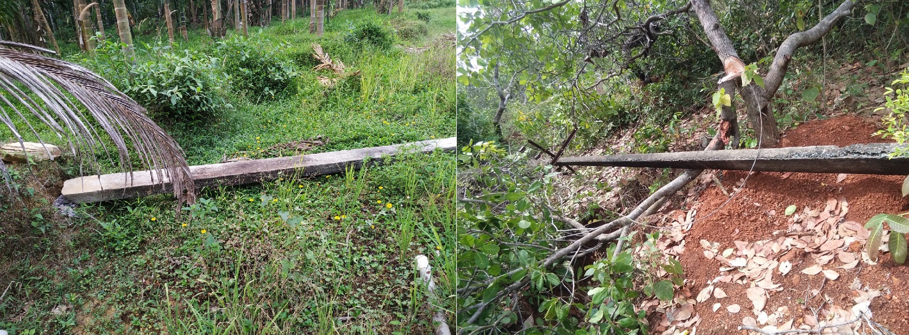 ಭಟ್ಕಳ: ಗುಡುಗು ಸಹಿತ ಗಾಳಿ ಮಳೆ; ಹೆಸ್ಕಾಂ ಇಲಾಖೆಗೆ 2.25 ಲಕ್ಷ ರೂ. ಹಾನಿ