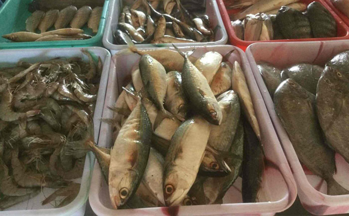 ಮಂಗಳೂರಿನಲ್ಲಿ ಮೀನಿಗೆ ಬರ: ದರದಲ್ಲಿ ಭಾರೀ ಏರಿಕೆ!