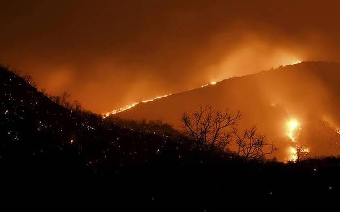 ಬಂಡೀಪುರದ ಮದ್ದೂರು ವಲಯದ ಅರಣ್ಯದಲ್ಲಿ ಬೆಂಕಿ: ನೂರಾರು ಎಕರೆ ಪ್ರದೇಶ ಭಸ್ಮ