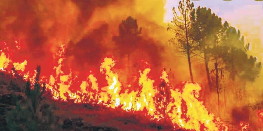 ಮಿಝೋರಾಂ: ಪಟ್ಟಣ, ಹಳ್ಳಿಗಳಿಗೂ ಹರಡಿದ ಕಾಡಿನ ಬೆಂಕಿ