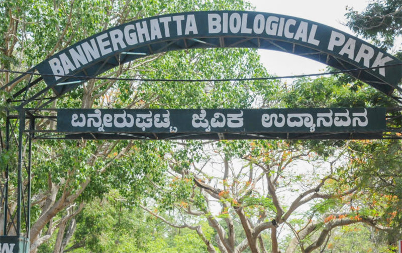 ಬನ್ನೇರುಘಟ್ಟ ಜೈವಿಕ ಉದ್ಯಾನಕ್ಕೆ ಸಾರ್ವಜನಿಕರ ಪ್ರವೇಶ ನಿಷೇಧ