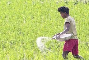ಹಳೆಯ ದರಗಳಲ್ಲಿಯೇ ರಸಗೊಬ್ಬರಗಳ ಮಾರಾಟಕ್ಕೆ ಕೇಂದ್ರದ ನಿರ್ದೇಶ