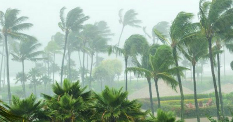 ಅರಬಿ ಸಮುದ್ರದಲ್ಲಿ ಚಂಡಮಾರುತ ಸಾಧ್ಯತೆ: ಹವಾಮಾನ ಕೇಂದ್ರ ಮುನ್ಸೂಚನೆ