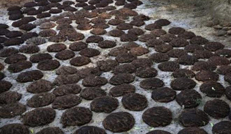 ಅಮೆರಿಕದ ವಿಮಾನ ನಿಲ್ದಾಣದಲ್ಲಿ ಭಾರತೀಯ ಪ್ರಯಾಣಿಕನ ಲಗೇಜ್ ನಲ್ಲಿ ಸಗಣಿ ಕೇಕ್ ಪತ್ತೆ!