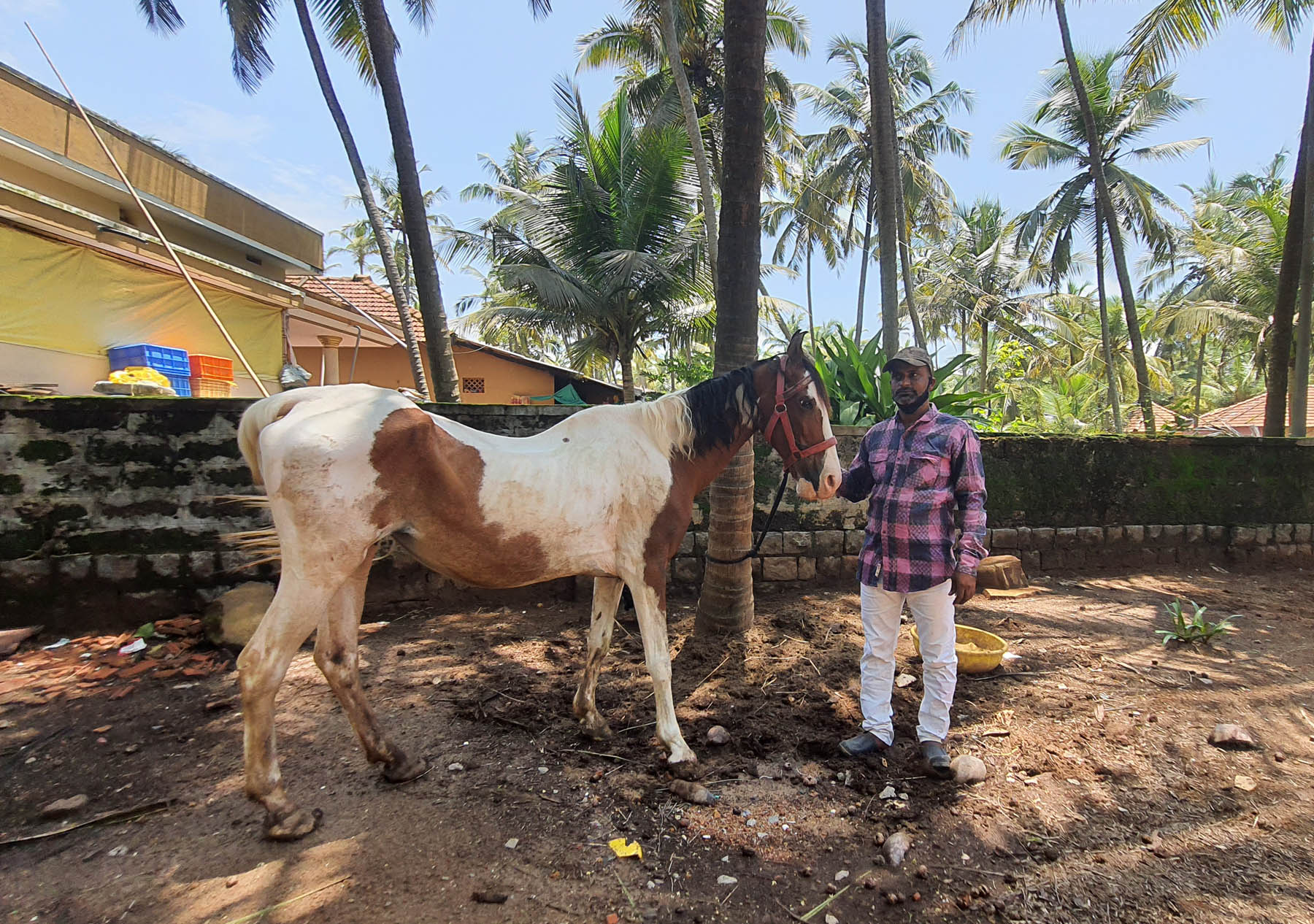 ಲಾಕ್‍ಡೌನ್‍ ; ಪ್ರವಾಸಿ ತಾಣವನ್ನೇ ನಂಬಿ ಕುದುರೆ ಸವಾರಿ ಮಾಡುವ ನಮಗೆ ಜೀವನ ಕಷ್ಟವಾಗಿದೆ: ಕಿಶೋರ್