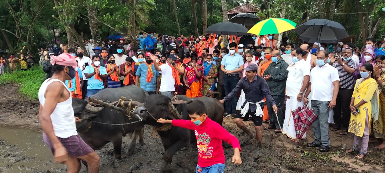 ಉಡುಪಿ : ಶಾಸಕರ ನೇತೃತ್ವದ ಹಡಿಲು ಭೂಮಿ ಕೃಷಿ ಕಾರ್ಯಕ್ರಮದಲ್ಲಿ ಜನಸ್ತೋಮ !