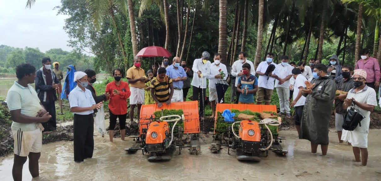 ಮೂಡುಬೆಟ್ಟು: ಹಡಿಲು ಭೂಮಿ ಕೃಷಿ ನಾಟಿಗೆ ಸಚಿವ ಕೋಟ ಚಾಲನೆ