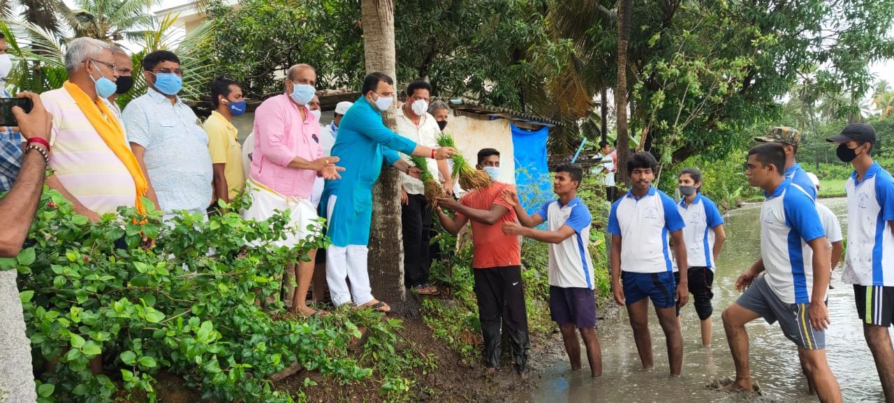ಅಂಬಲಪಾಡಿ: ಹಡಿಲು ಭೂಮಿ ಕೃಷಿ ನಾಟಿಗೆ ಸುನೀಲ್ ಕುಮಾರ್ ಚಾಲನೆ