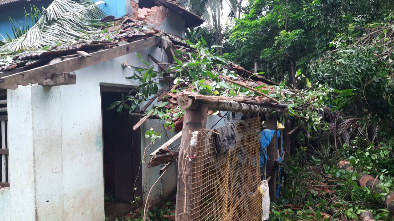 ತಗ್ಗರ್ಸೆ: ಗಾಳಿ ಮಳೆಗೆ ಮರ ಬಿದ್ದು ಹಲವು ಮನೆಗಳಿಗೆ ಅಪಾರ ಹಾನಿ