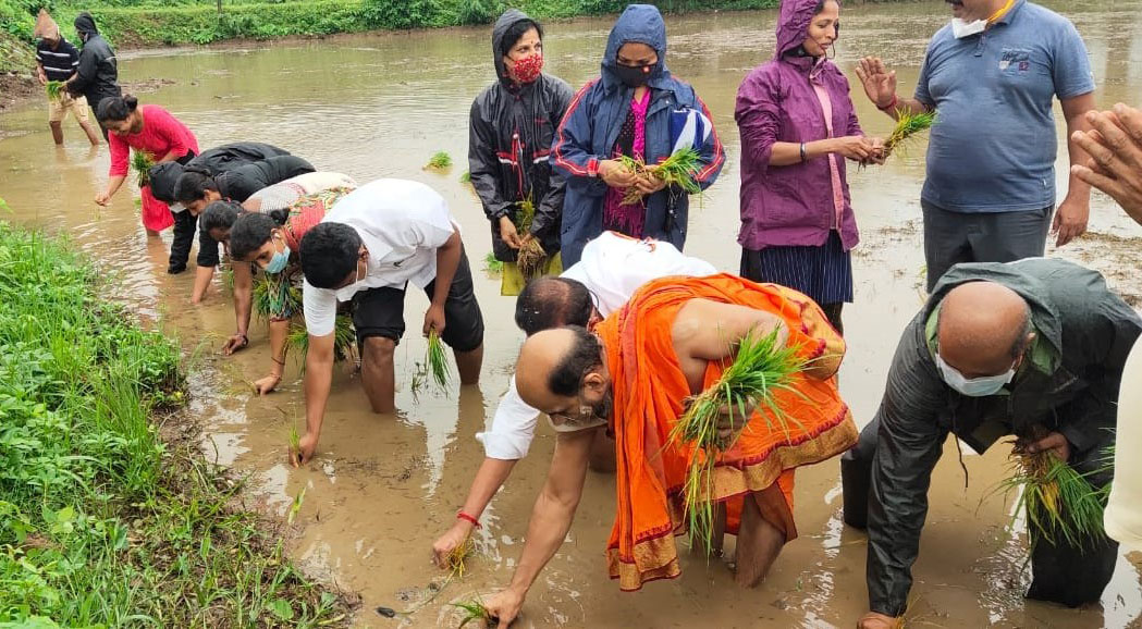 ಒಳಕಾಡು: 7 ಎಕರೆ ಹಡಿಲು ಭೂಮಿ ಕೃಷಿ ನಾಟಿಗೆ ಚಾಲನೆ