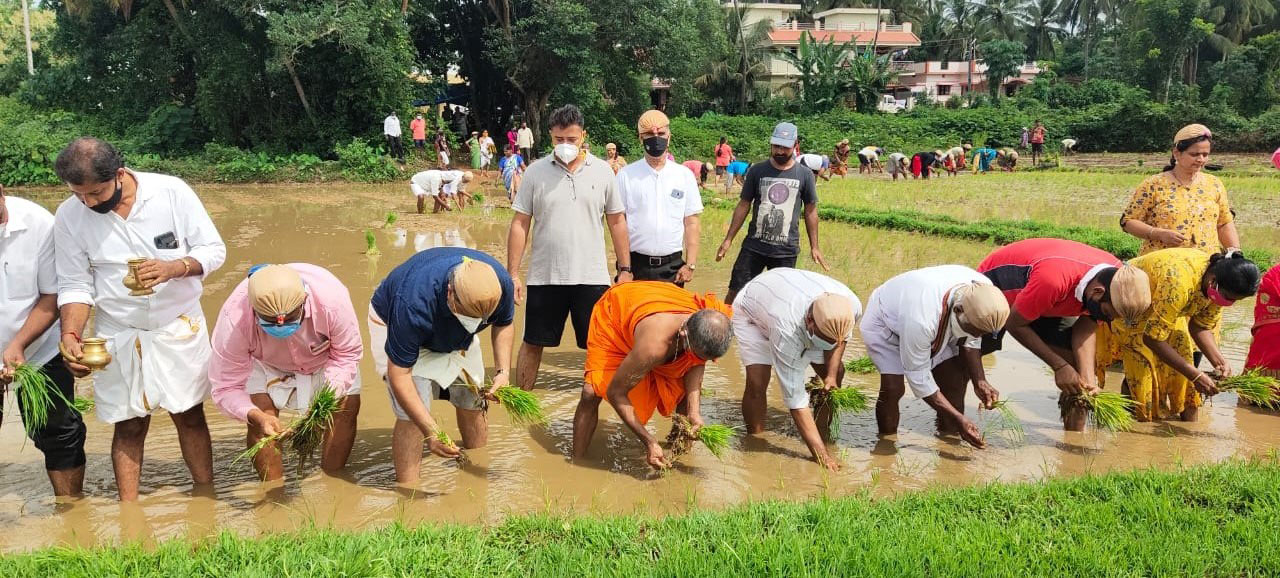 ಸುಬ್ರಹ್ಮಣ್ಯನಗರ ಹಡಿಲುಭೂಮಿ ಕೃಷಿ ಕಾರ್ಯಕ್ಕೆ ಪೇಜಾವರ ಶ್ರೀ ಚಾಲನೆ