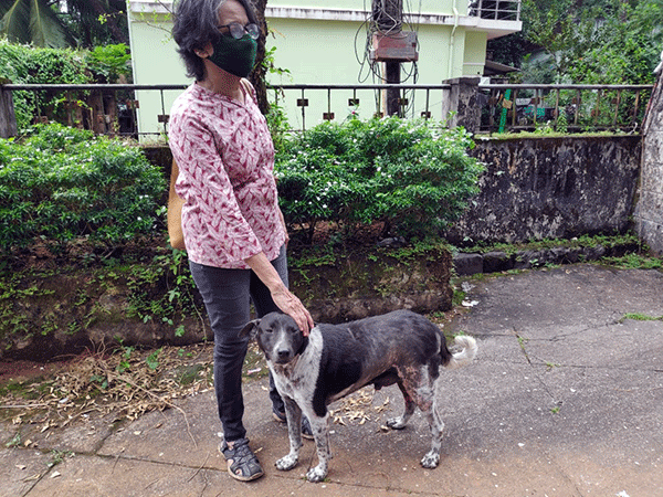 ಬೀದಿನಾಯಿಗಳ ಸಾಕುತಾಯಿ ಶಾಲೆಟ್!