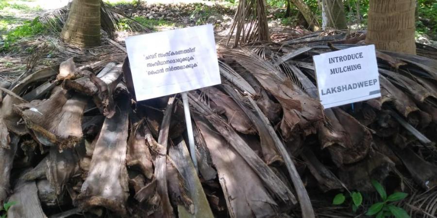 ‌ಲಕ್ಷದ್ವೀಪ: ತೆಂಗಿನ ಗರಿಗಳು, ತ್ಯಾಜ್ಯಗಳು ಸ್ಥಳದಲ್ಲಿದ್ದರೆ ಭಾರೀ ದಂಡ ವಿಧಿಸುವ ಆದೇಶ ಹೊರಡಿಸಿದ ಪ್ರಫುಲ್‌ ಪಟೇಲ್