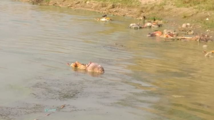 ಗಂಗಾ ನದಿಯಲ್ಲಿ ಹೆಣಗಳು ತೇಲುತ್ತಿರುವುದು ಗಂಭೀರ ವಿಚಾರ, ಆದರೆ ಮಾನವಹಕ್ಕು ಆಯೋಗಕ್ಕೆ ಅರ್ಜಿ ಸಲ್ಲಿಸಿ ಎಂದ ಸುಪ್ರೀಂ