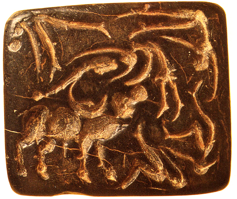 ನೀಲಗಿರಿ ಬೆಟ್ಟಗಳಿಗೆ ಹತ್ತಿದ್ದು ಯಾವಾಗ?