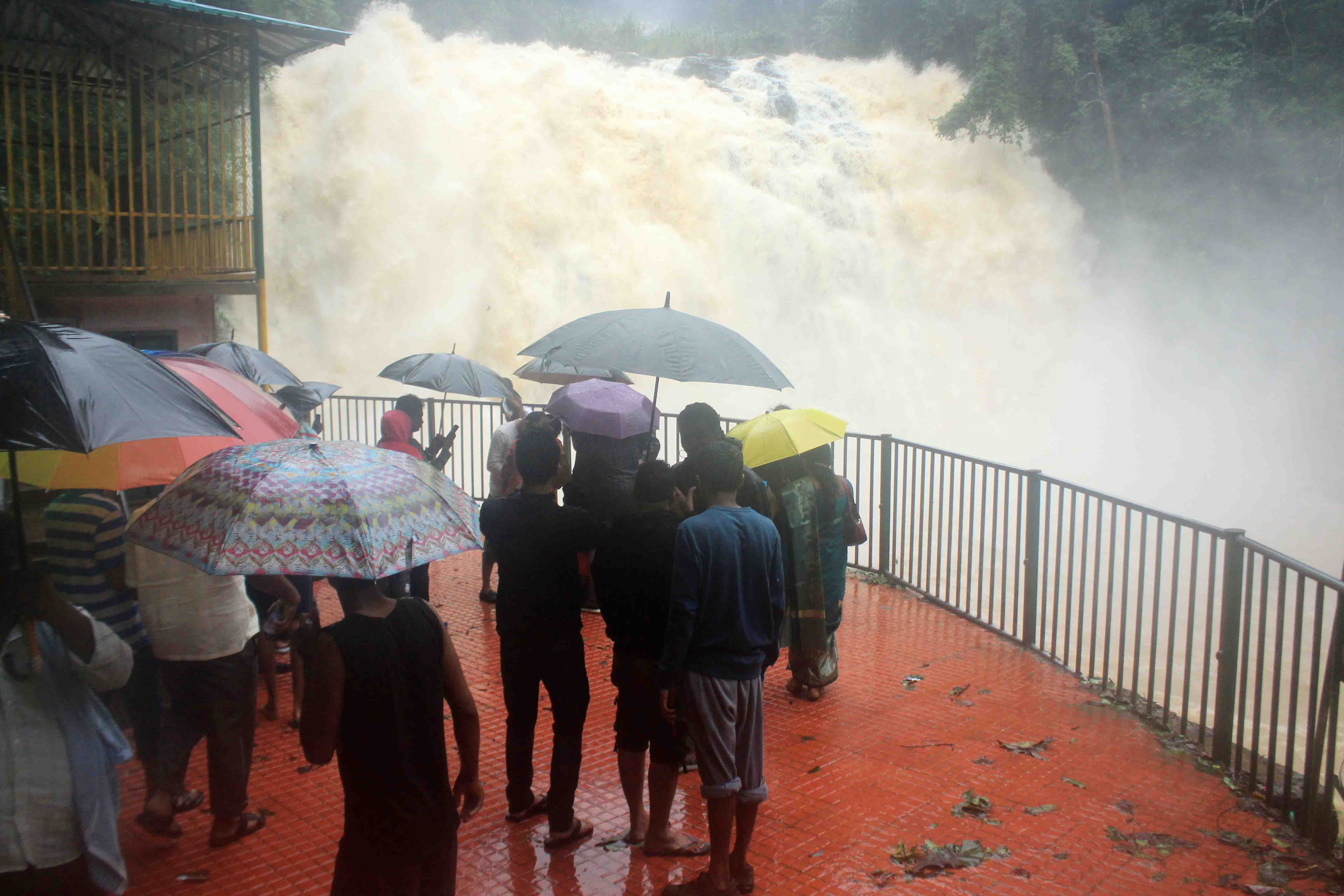 ಮಡಿಕೇರಿ: ಅಬ್ಬಿ ಜಲಪಾತ ಪ್ರವಾಸಿಗರಿಗೆ ಮುಕ್ತ