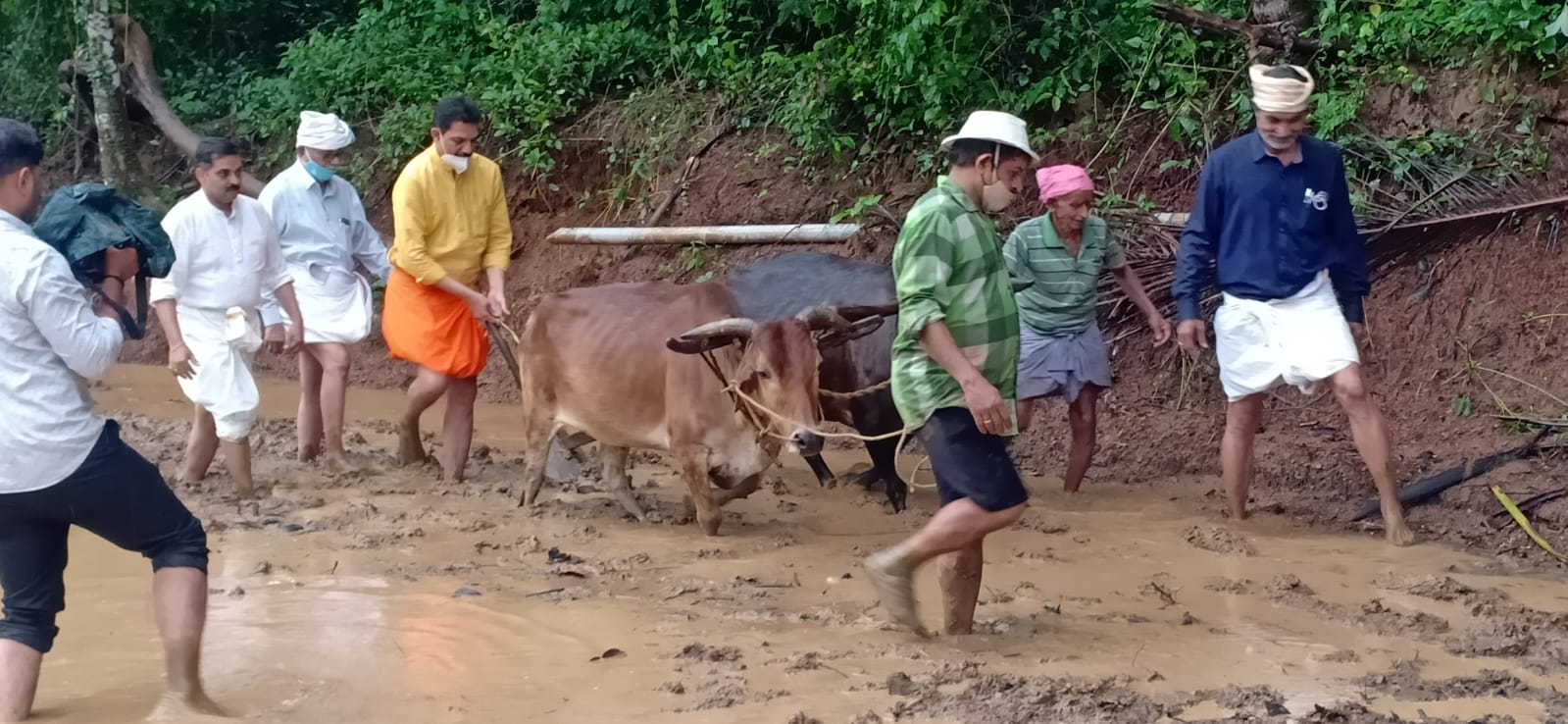 ಪುತ್ತೂರು: ಗದ್ದೆ ಬೇಸಾಯಕ್ಕೆ ಚಾಲನೆ ನೀಡಿದ ಸಂಸದ ನಳಿನ್ ಕುಮಾರ್ ಕಟೀಲ್