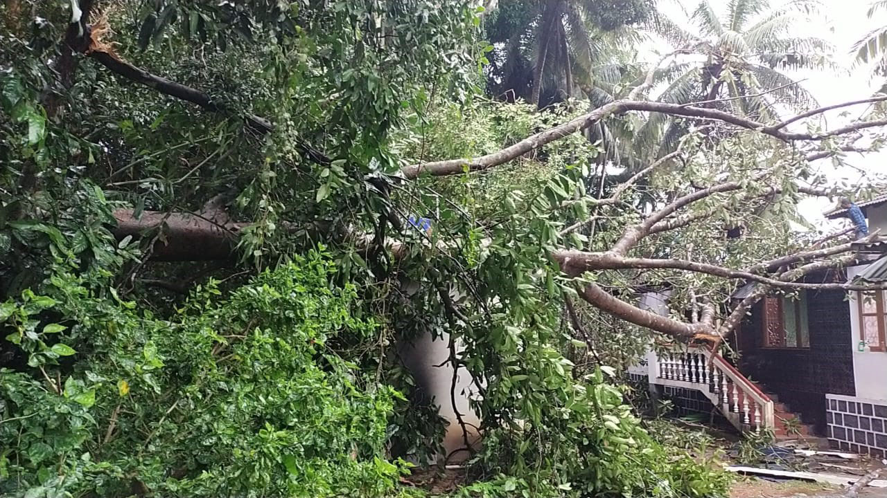 ಸಾಲಿಗ್ರಾಮ: ಮನೆ ಮೇಲೆ ಮರ ಬಿದ್ದು ಅಪಾರ ಹಾನಿ