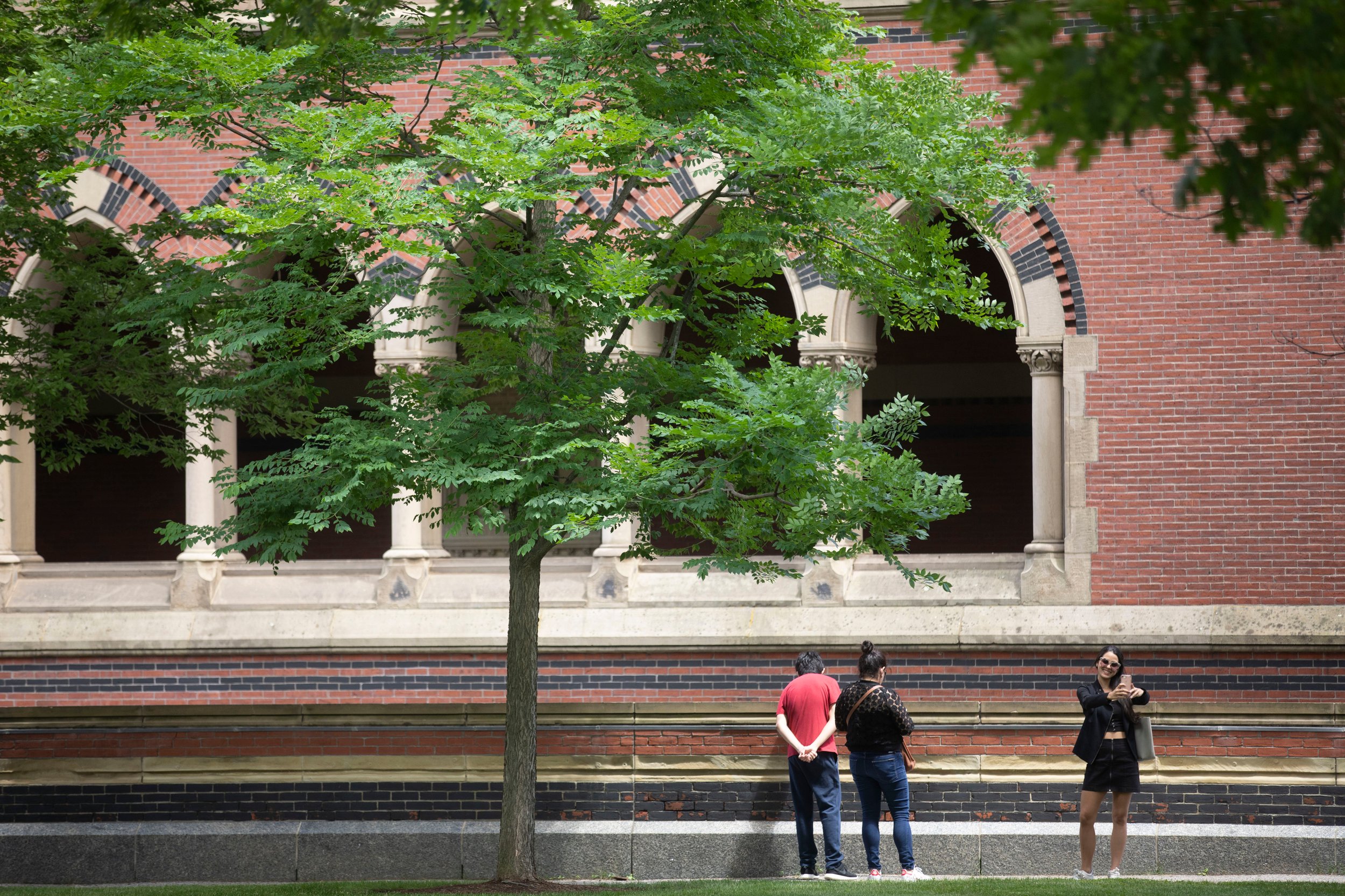 ಹಾರ್ವರ್ಡ್ ವಿಶ್ವವಿದ್ಯಾನಿಲಯಕ್ಕೆ ಕಾರ್ನೆಲ್ ವೆಸ್ಟ್ ರಾಜೀನಾಮೆ