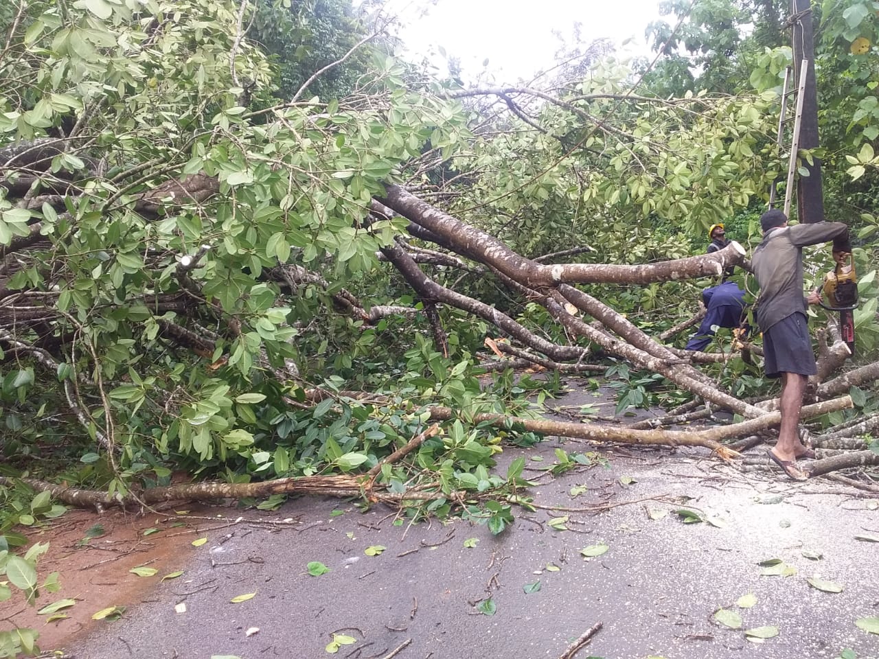 ಕರಾವಳಿಯಲ್ಲಿ ಮುಂದುವರಿದ ಮಳೆ : ಜು.16ರಂದು ರೆಡ್ ಅಲರ್ಟ್ ಘೋಷಣೆ