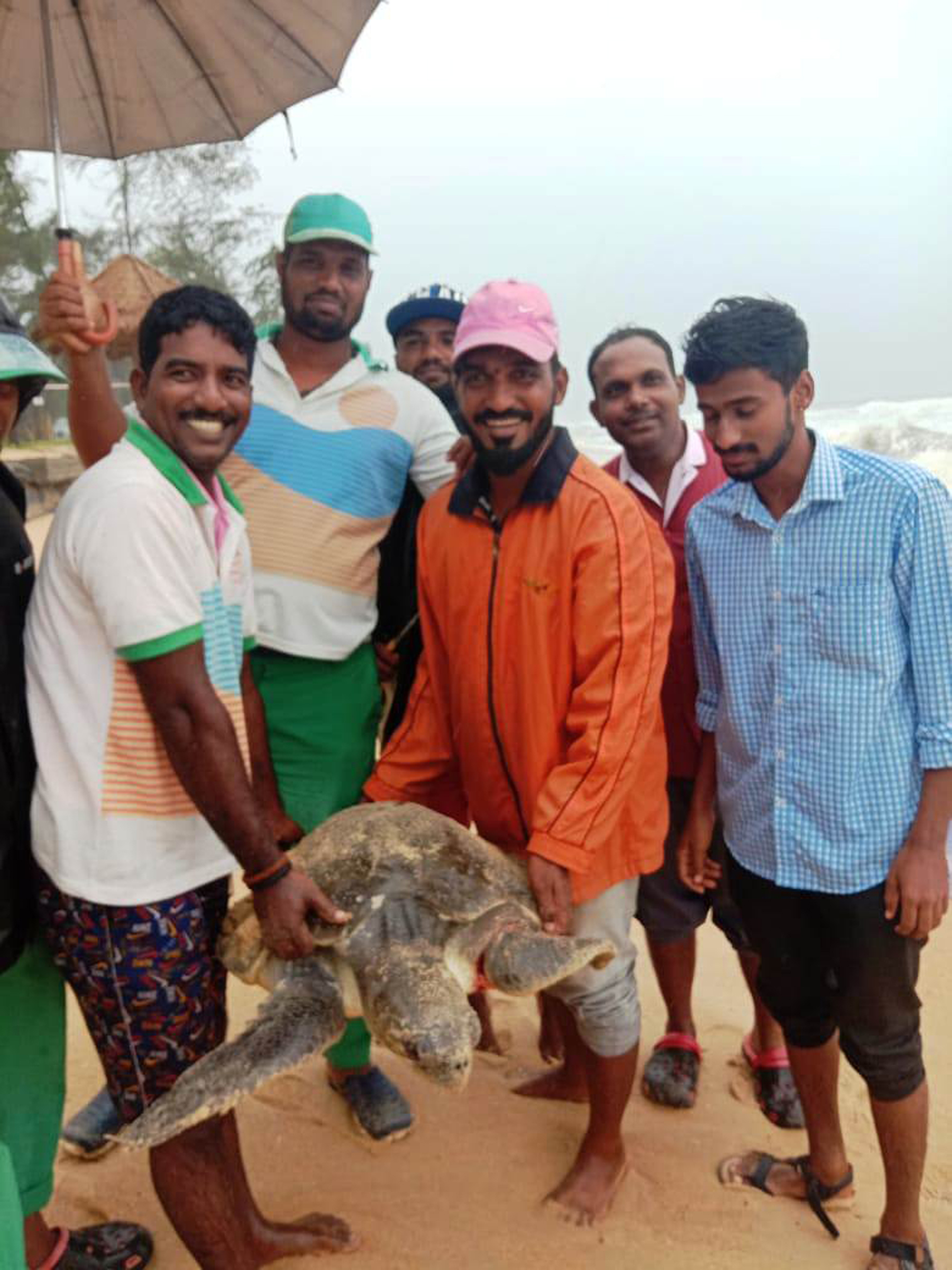 ಪಡುಬಿದ್ರಿ ಬಳಿ ಕಡಲಾಮೆ ರಕ್ಷಣೆ
