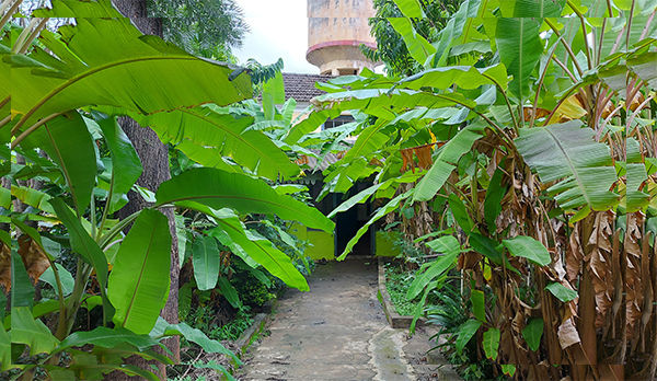 ಚಿಕ್ಕಮಗಳೂರು: ಕರೋನದಿಂದ ಮುಚ್ಚಿದ್ದರೂ ಹಸಿರಿನಿಂದ ನಳನಳಿಸುತ್ತಿದೆ ಸರಕಾರಿ ಶಾಲೆ