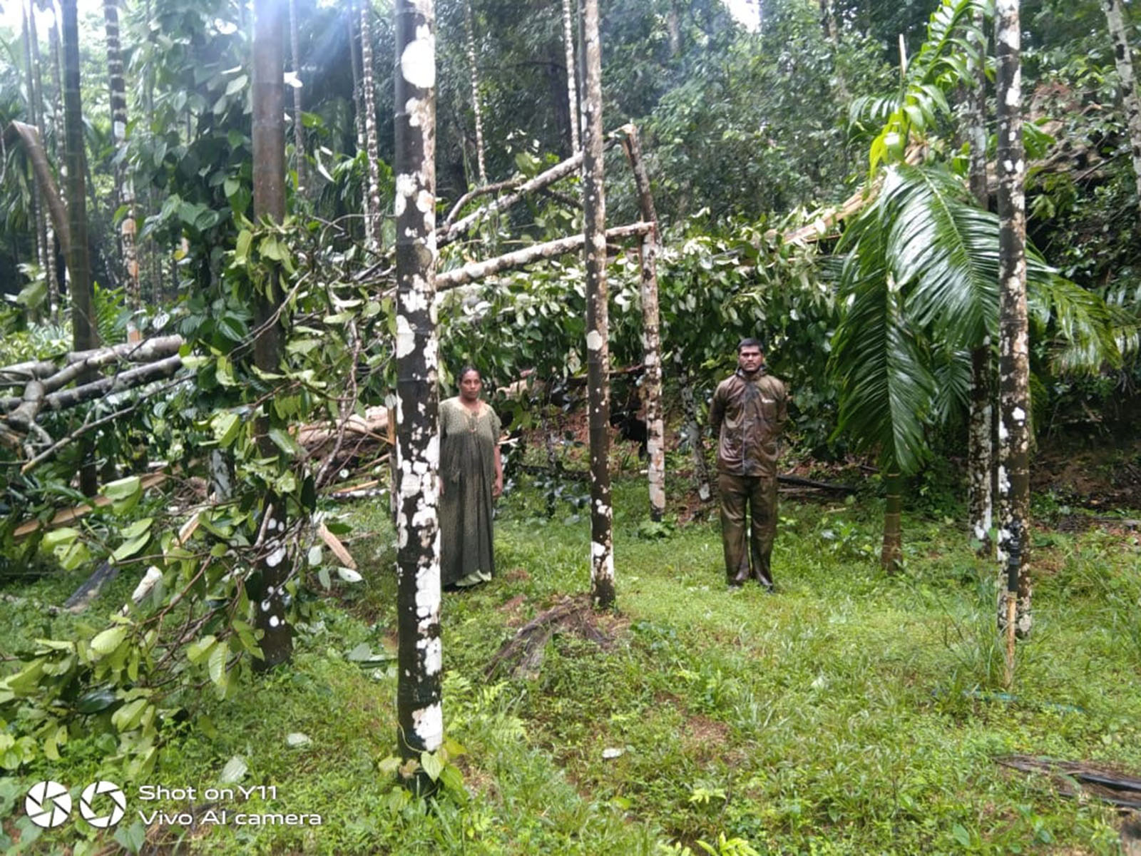 ಗಾಳಿ-ಮಳೆಗೆ ಅಂಪಾರು, ಇಡೂರು ಗ್ರಾಮಗಳಲ್ಲಿ ಅಡಿಕೆ ತೋಟಕ್ಕೆ ಹಾನಿ