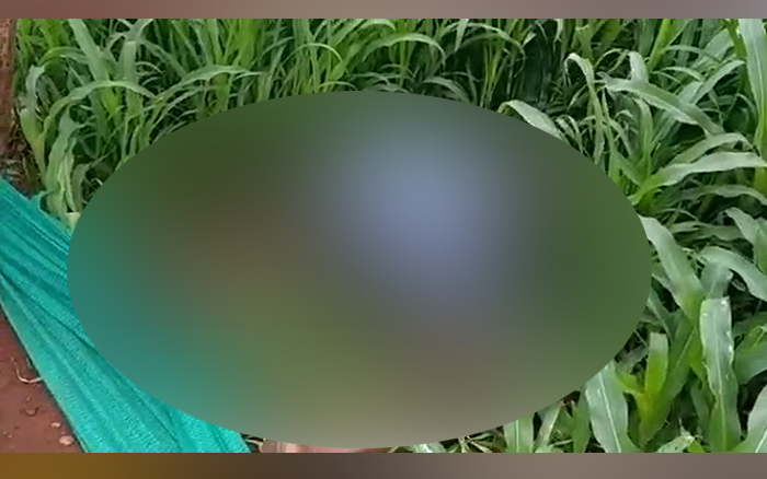 ಚಾಮರಾಜನಗರ : ಕಬಿನಿ ವಸತಿ ಗೃಹ ಹಿಂಭಾಗದ ಜಮೀನಿನಲ್ಲಿ ವ್ಯಕ್ತಿಯ ಶವ ಪತ್ತೆ