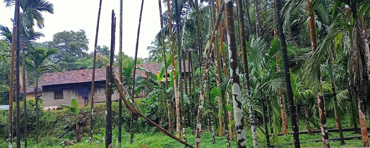 ಭಾರೀ ಮಳೆ: ದ.ಕ.ಜಿಲ್ಲೆಯಲ್ಲಿ 12 ಮನೆಗಳಿಗೆ ಹಾನಿ