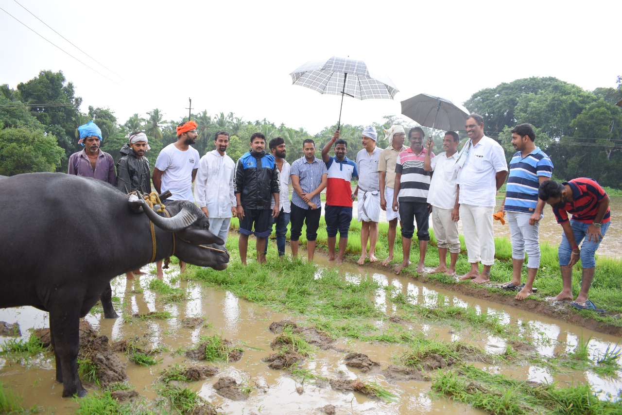 ಬಂಟ್ವಾಳ ತಾಲೂಕಿನ 600 ಎಕರೆ ಹಡಿಲು ಬಿದ್ದ ಭೂಮಿಯಲ್ಲಿ ಕೃಷಿ: ಶಾಸಕ ರಾಜೇಶ್ ನಾಯ್ಕ್ ಚಾಲನೆ