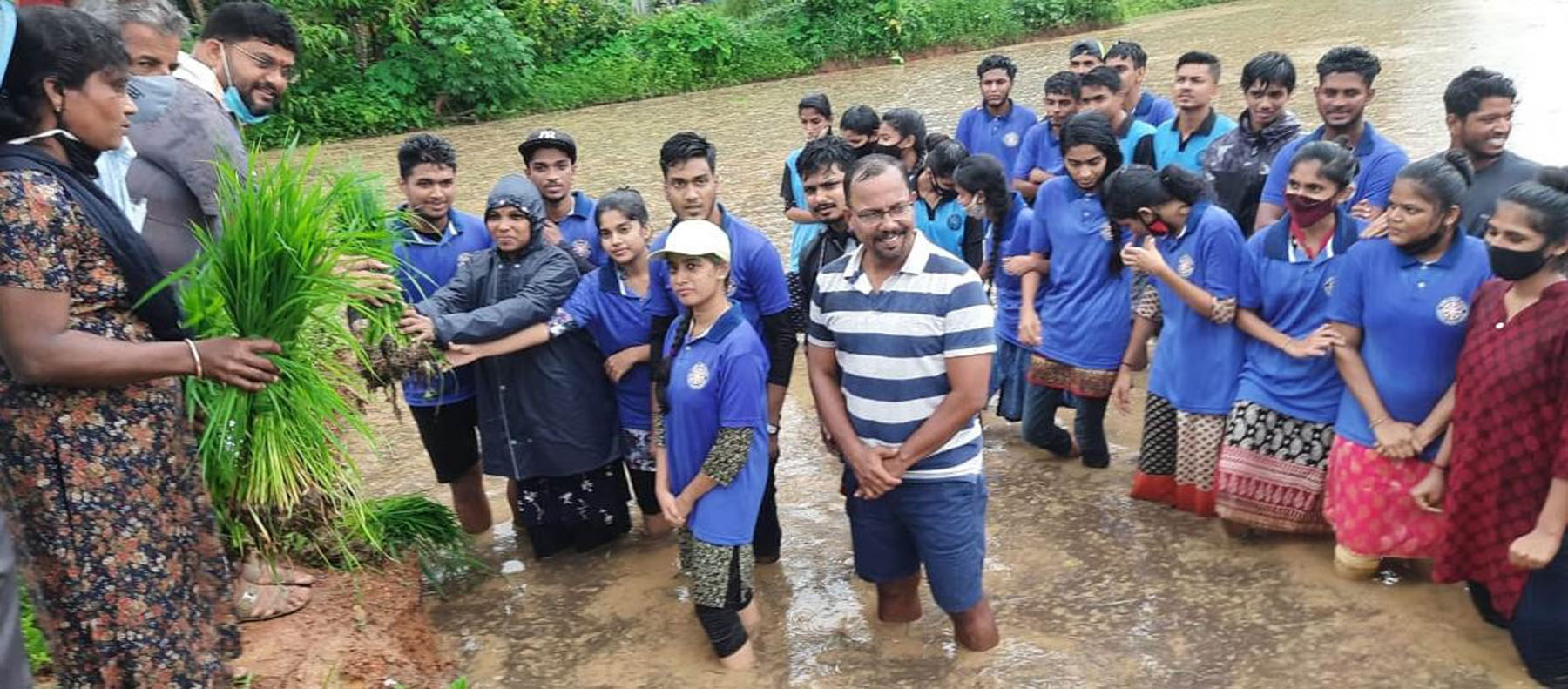 ​ಕಲ್ಯಾಣಪುರ ಮಿಲಾಗ್ರಿಸ್ ಕಾಲೇಜು ವಿದ್ಯಾರ್ಥಿಗಳಿಂದ ನಾಟಿ ಕಾರ್ಯ