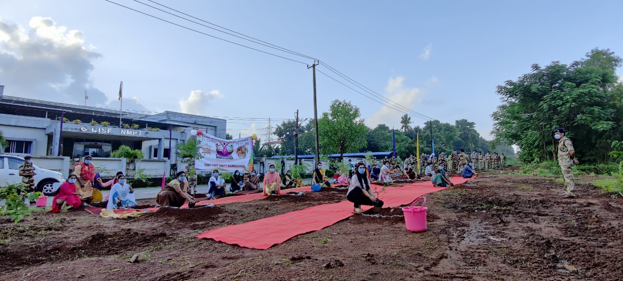 ಎನ್‌ಎಂಪಿಟಿಯಲ್ಲಿ ಸಸಿ ನೆಡುವ ಕಾರ್ಯಕ್ರಮ