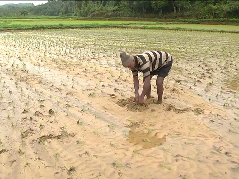 ಚಿಕ್ಕಮಗಳೂರು: ಮಳೆ ಕ್ಷೀಣ; ಸಹಜಸ್ಥಿಯತ್ತ ಮರಳಿದ ಜನತೆ