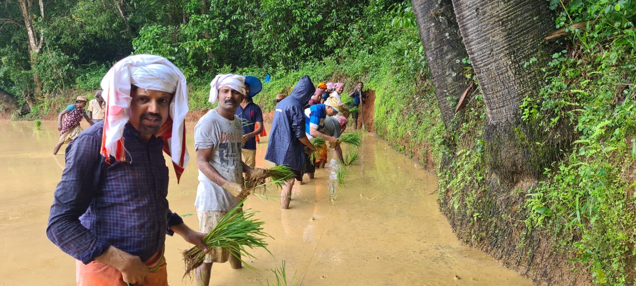 ಕೃಷಿ ಚಟುವಟಿಕೆಯಲ್ಲಿ ತೊಡಗಿಸಿಕೊಂಡವರಿಗೆ ಅನಾರೋಗ್ಯ ಕಡಿಮೆ -ಡಾ.ಎನ್. ಕಿಶೋರ್ ಆಳ್ವ