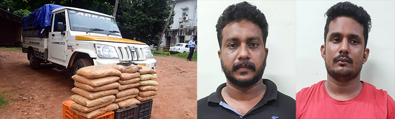 ಮಂಗಳೂರು; ಲಿಂಬೆ ಹಣ್ಣುಗಳ ಜತೆ ಗಾಂಜಾ ಸಾಗಾಟ! : 40 ಕೆಜಿ ಗಾಂಜಾ ವಶ, ಇಬ್ಬರ ಬಂಧನ