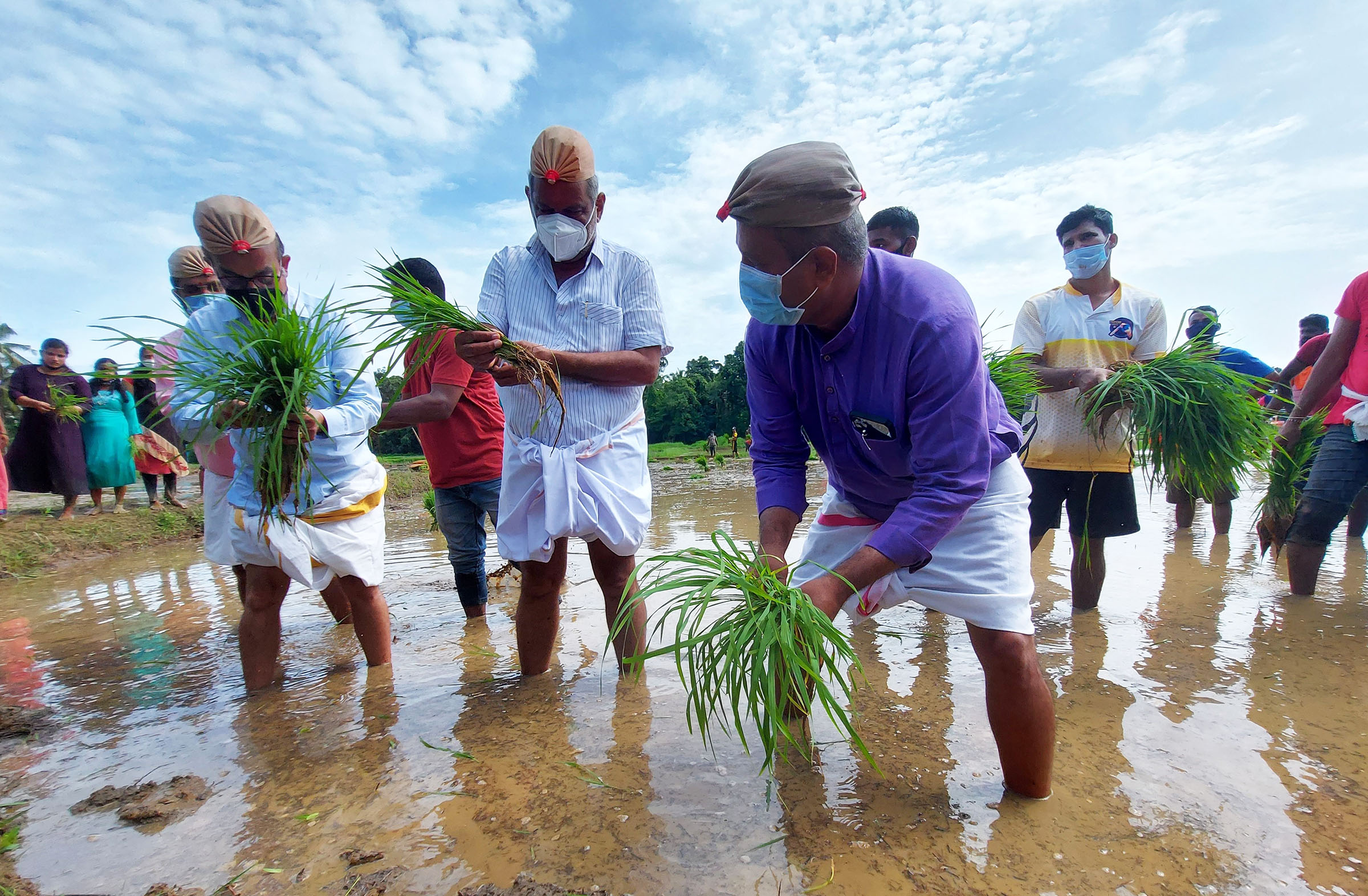 ಉಡುಪಿ : ಹಡಿಲು ಭೂಮಿ ಕೃಷಿ ಕಾರ್ಯಕ್ಕೆ ಸಚಿವ ಮಾಧುಸ್ವಾಮಿ ಚಾಲನೆ
