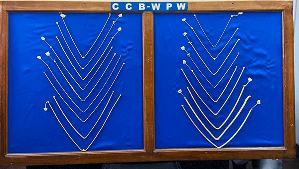 ಸರಗಳ್ಳತನ: ಮೂವರು ಆರೋಪಿಗಳ ಬಂಧನ, 52 ಲಕ್ಷ ರೂ. ಮೌಲ್ಯದ ಚಿನ್ನದ ಸರಗಳು ವಶ