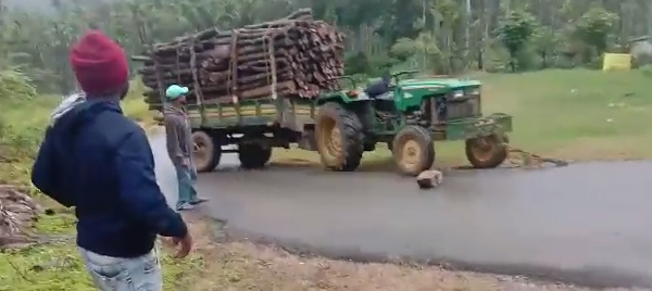 ಮೂಡಿಗೆರೆ: ಬ್ರೇಕ್‌ ಫೇಲ್‌ ಆಗಿ ಪಲ್ಟಿಯಾದ ಟ್ರ್ಯಾಕ್ಟರ್: ಕೂದಲೆಳೆ ಅಂತರದಲ್ಲಿ ಪಾರಾದ ಚಾಲಕ