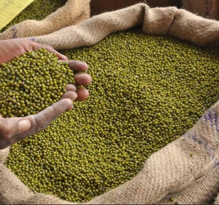 ಬೆಂಬಲ ಬೆಲೆಯಲ್ಲಿ ಹೆಸರು, ಉದ್ದು ಖರೀದಿಗೆ ಕೇಂದ್ರದ ಅನುಮತಿ