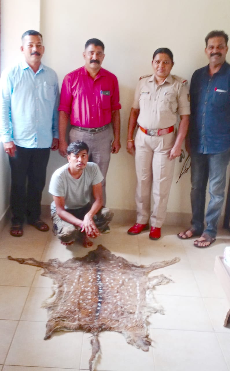 ಅರಣ್ಯ ಸಂಚಾರಿ ದಳದ ಕಾರ್ಯಾಚರಣೆ: ಆರೋಪಿ ಬಂಧನ, ಜಿಂಕೆ ಚರ್ಮ ವಶಕ್ಕೆ