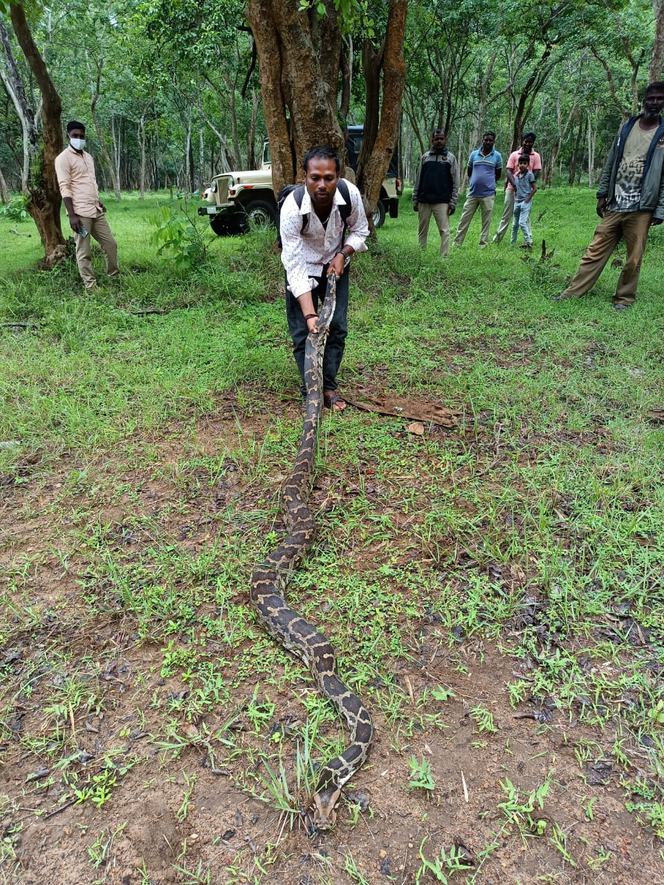 ಚಾಮರಾಜನಗರ: ಜಮೀನಿನ ಬೇಲಿಯಲ್ಲಿ ಅಡಗಿದ್ದ 45 ಕೆಜಿ ತೂಕದ 13.5 ಅಡಿ ಉದ್ದದ ಹೆಬ್ಬಾವು ಸೆರೆ