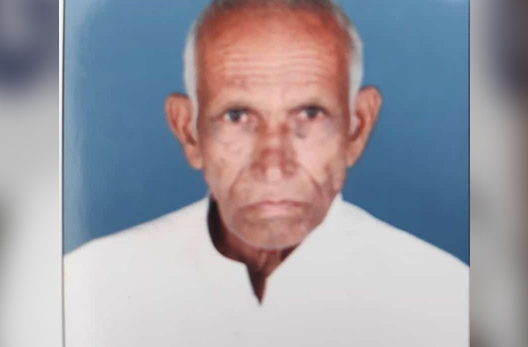 ಹಿರಿಯ ಸ್ವಾತಂತ್ರ್ಯ ಹೋರಾಟಗಾರ ಎನ್.ಎಲ್.ತಮ್ಮಯ್ಯ ನಿಧನ