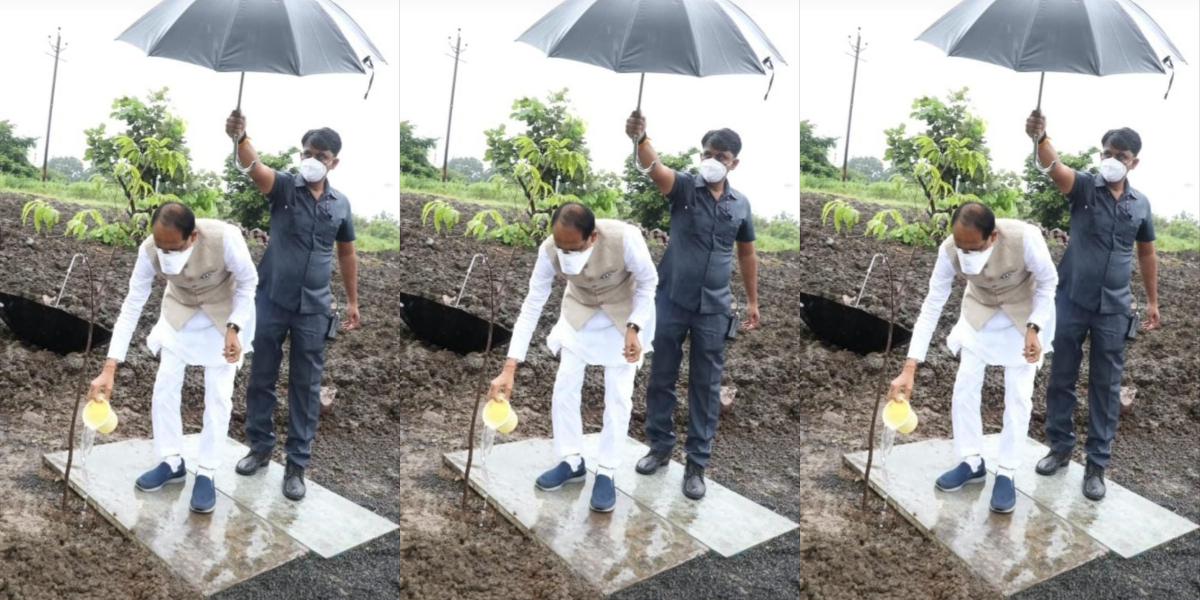 ಮಳೆಯಲ್ಲಿ ಕೊಡೆಹಿಡಿದು ಗಿಡಗಳಿಗೆ ನೀರುಣಿಸಿದ ಮಧ್ಯಪ್ರದೇಶ ಸಿಎಂ ಶಿವರಾಜ್‌ ಸಿಂಗ್‌ ಚೌಹಾಣ್‌: ವ್ಯಾಪಕ ಟ್ರೋಲ್‌