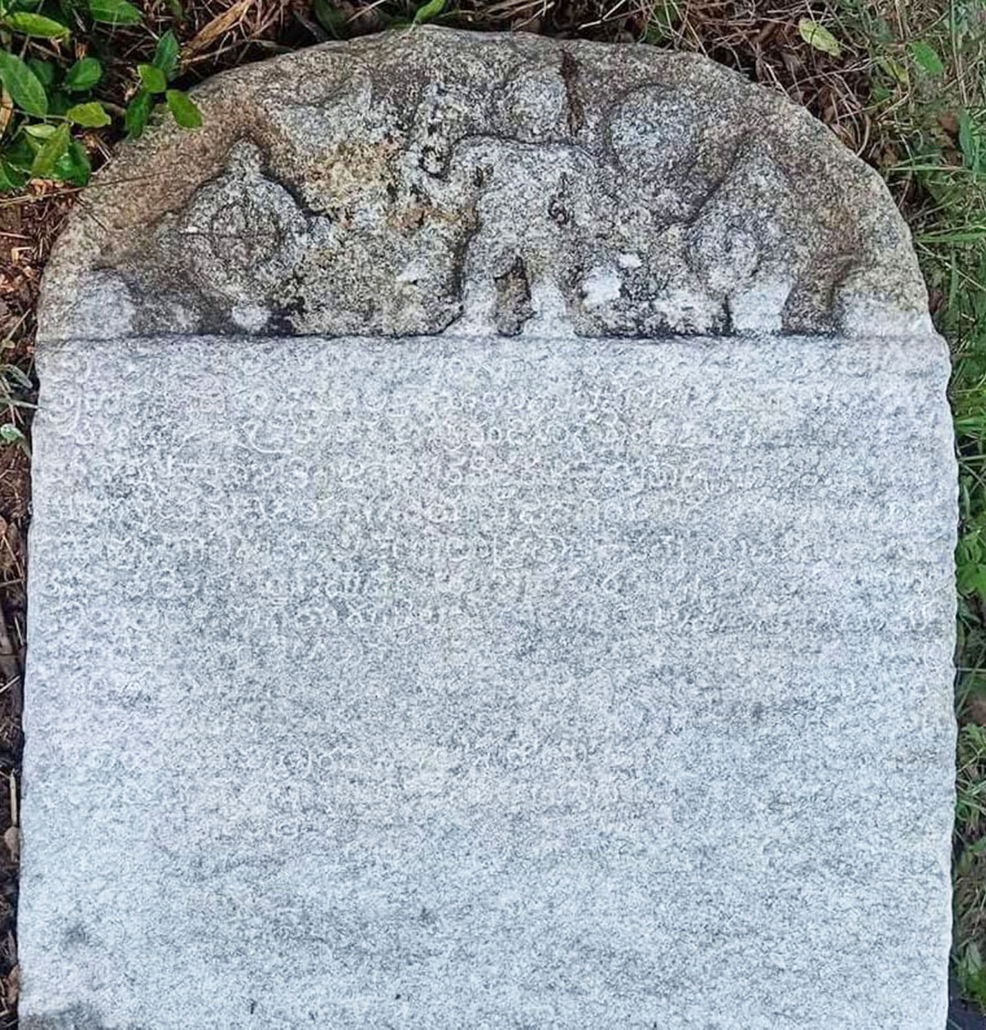 ಉಡುಪಿ: ವಿಜಯನಗರ ದೊರೆ ಇಮ್ಮಡಿ ದೇವರಾಯನ ಶಾಸನ ಪತ್ತೆ