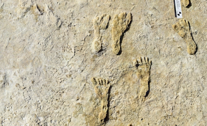 ಅಮೆರಿಕಾದಲ್ಲಿ ಪುರಾತನ ಮಾನವನ ಹೆಜ್ಜೆಗುರುತು ಪತ್ತೆ!‌