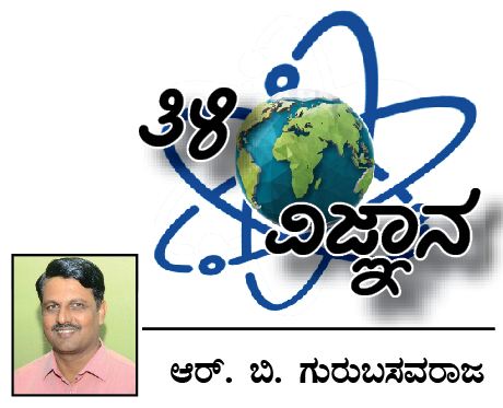 ಬಯೋಲುಮಿನೆನ್ಸಿಸ್: ಕತ್ತಲೆ ದೂರ ಓಡಿಸಲು ಸ್ಫೂರ್ತಿಯಾಯಿತೇ?